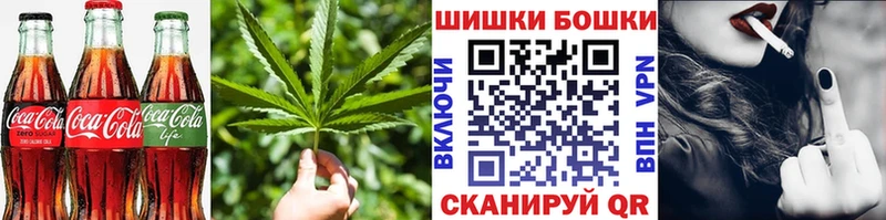 MEGA как зайти  Суджа  Cannafood конопля  как найти закладки 