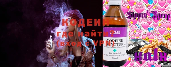 молекула духа Алексеевка