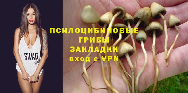 молекула духа Алексеевка