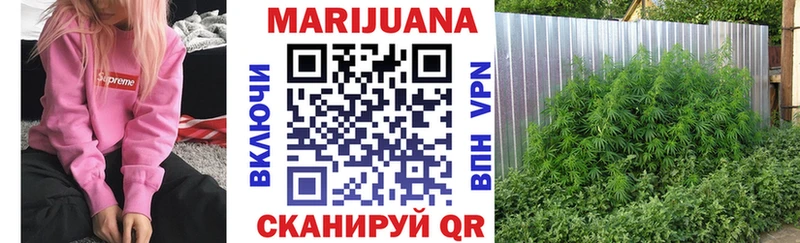 МАРИХУАНА сатива Суджа